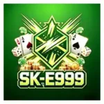 SK-E999 Game